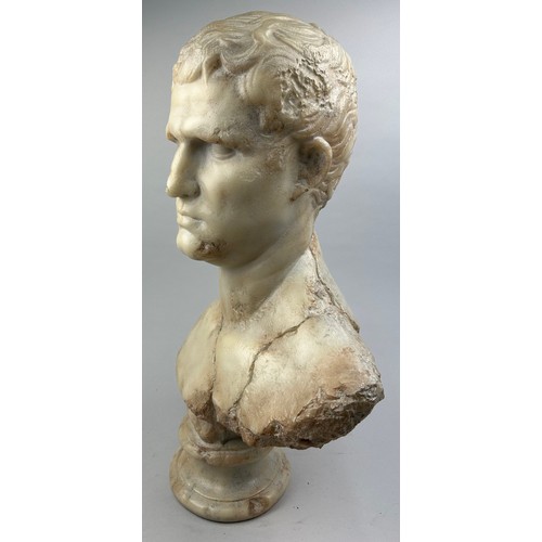 29 - AN ITALIAN MARBLED COMPOSITE BUST OF A PHILOSOPHER, after the antique.

64cm in height

Provenance:
... 