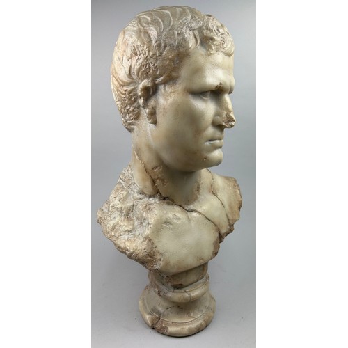 29 - AN ITALIAN MARBLED COMPOSITE BUST OF A PHILOSOPHER, after the antique.

64cm in height

Provenance:
... 