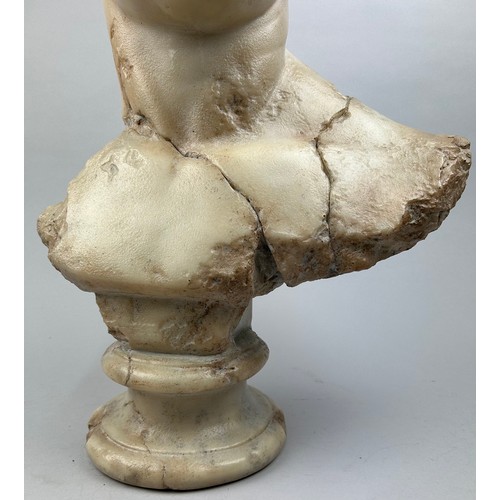 29 - AN ITALIAN MARBLED COMPOSITE BUST OF A PHILOSOPHER, after the antique.

64cm in height

Provenance:
... 