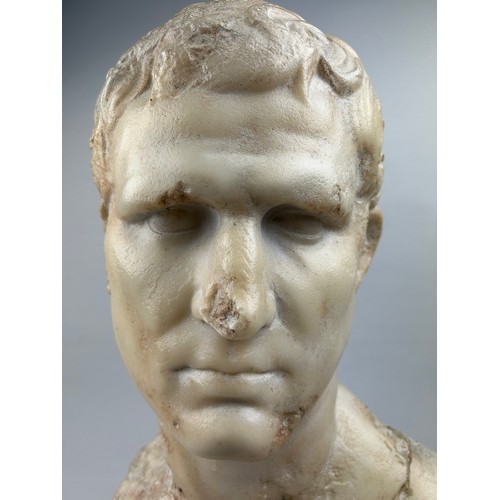 29 - AN ITALIAN MARBLED COMPOSITE BUST OF A PHILOSOPHER, after the antique.

64cm in height

Provenance:
... 