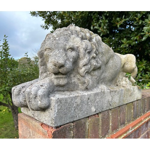 62 - A PAIR OF RECUMBENT STONE LIONS, reconstituted stone.
71cm x 34cm