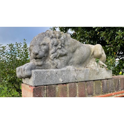 62 - A PAIR OF RECUMBENT STONE LIONS, reconstituted stone.
71cm x 34cm