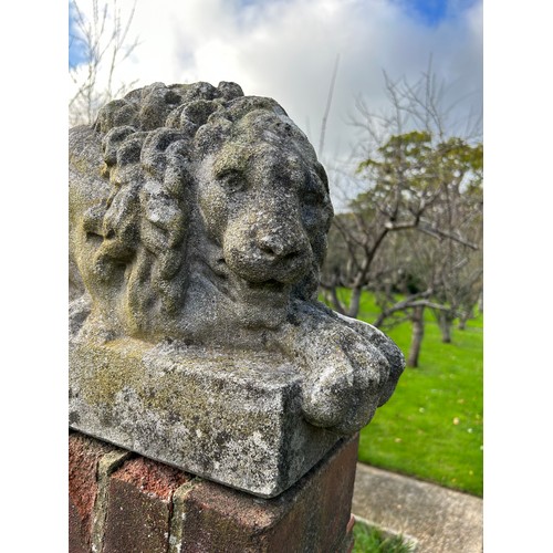 62 - A PAIR OF RECUMBENT STONE LIONS, reconstituted stone.
71cm x 34cm