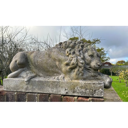 62 - A PAIR OF RECUMBENT STONE LIONS, reconstituted stone.
71cm x 34cm