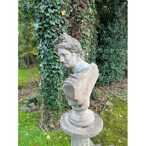 63 - A CARICATURE STATUE OF APOLLO ON PLINTH
Purchased by Derren for the comedic value of the misshapen c... 