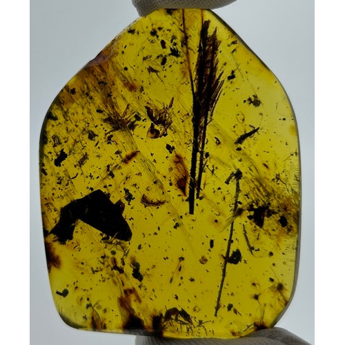 46 - A LARGE AMBER SPECIMEN WITH PLANT MATERIAL AND ANTS, 

From Chiapas, Mexico, circa 23-28 million yea... 