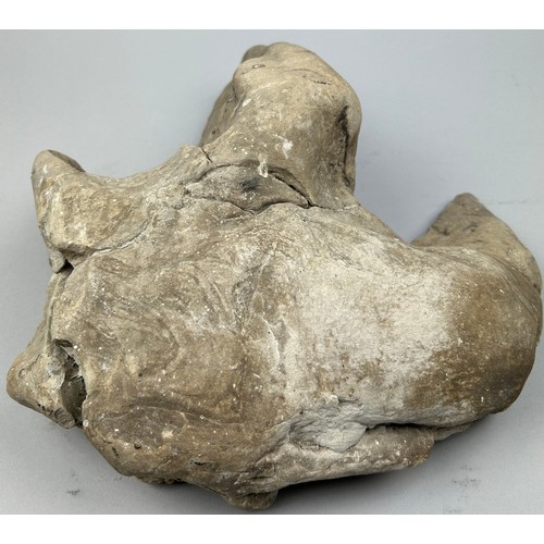 15 - AN EXCEPTIONALLY LARGE FOSSIL FOOTPRINT OF A MEAT-EATING THERAPOD DINOSAUR, 

38cm x 35cm