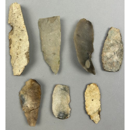 26 - A COLLECTION OF NEOLITHIC FLINT TOOLS (7) 

Largest 6.5cm in length