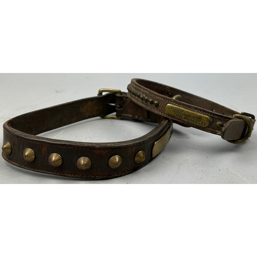 49 - A SET OF TWO LEATHER COLLARS WITH BRASS STUDS AND NAME PLATES, one inscribed.