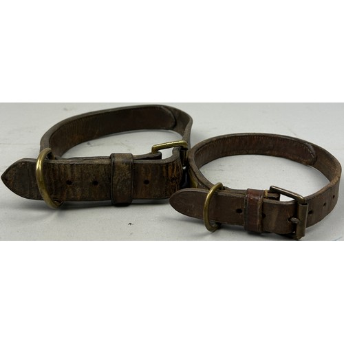 49 - A SET OF TWO LEATHER COLLARS WITH BRASS STUDS AND NAME PLATES, one inscribed.