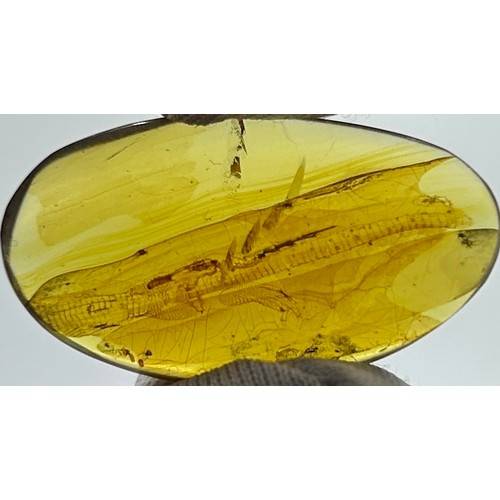 27 - AN EXCEPTIONALLY RARE AMBER SPECIMEN INCLUDING A PARTIAL FOSSILISED LIZARD, with vivid details of th... 