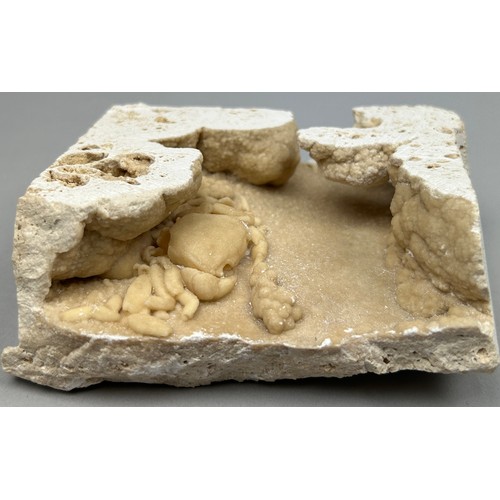 15 - A VERY UNUSUAL TRAVERTINE FOSSILISED CRAB FROM PAMMUKALE TURKEY PLEISTOCENE CIRCA 400,000 YEARS AGO
... 