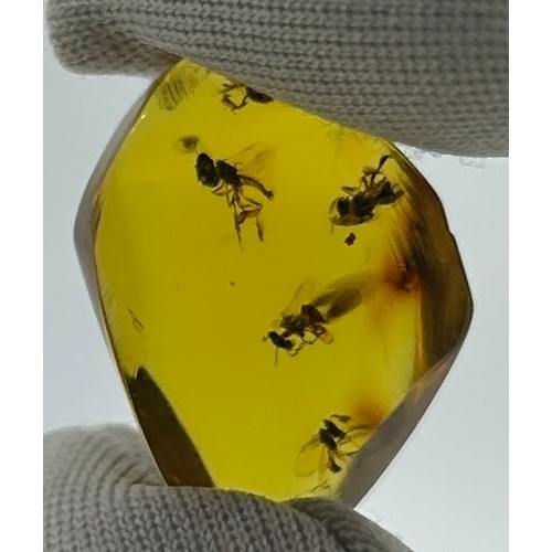 34 - AN AMBER SPECIMEN INCLUDING A SWARM OF BEE'S 

From Chiapas, Mexico, circa 23-28 million years old.
... 