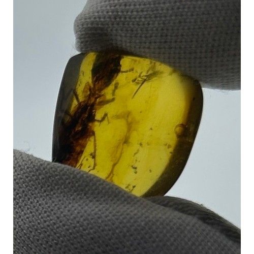 36 - AN AMBER SPECIMEN INCLUDING A BUG, 

From Chiapas, Mexico, circa 23-28 million years old.

Weight: 1... 