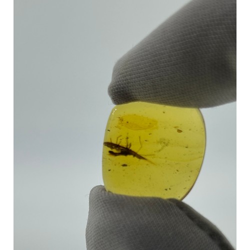 33 - AN AMBER SPECIMEN INCLUDING A LEAFHOPPER
From Chiapas, Mexico, circa 23-28 million years old.

Weigh... 