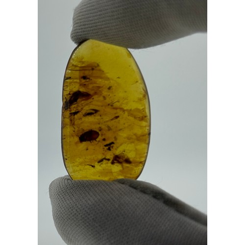 35 - AN AMBER SPECIMEN INCLUDING A BEETLE, 

From Chiapas, Mexico, circa 23-28 million years old.

Weight... 