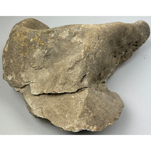 5 - A LARGE FOSSIL FOOTPRINT OF A MEAT-EATING THERAPOD DINOSAUR, old British collection

31cm x 27cm x 1... 