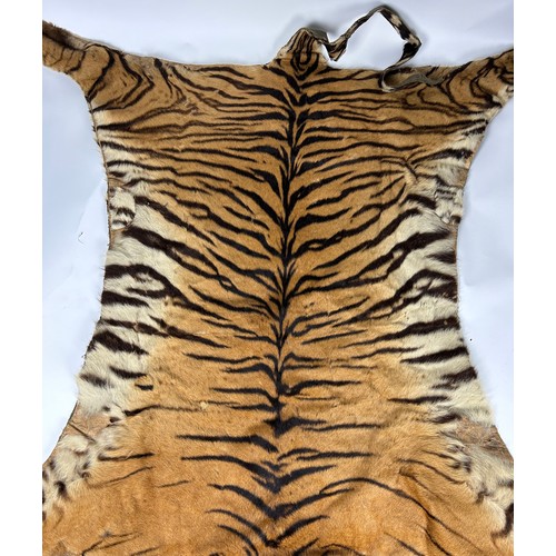 39 - A LARGE TAXIDERMY TIGER SKIN RUG CIRCA 1930, photo of rug beneath the family dinner table. Photo not... 