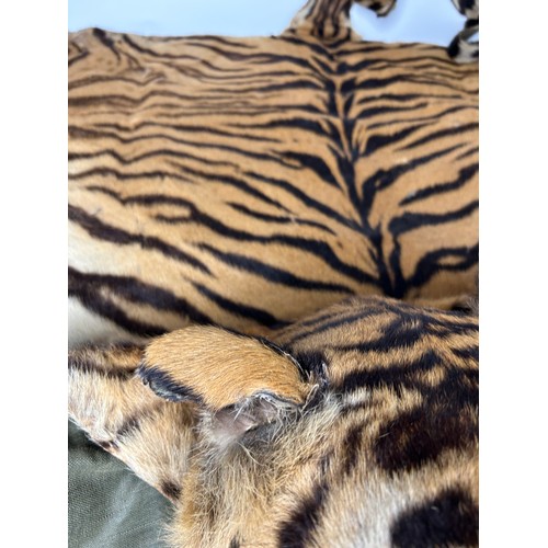 39 - A LARGE TAXIDERMY TIGER SKIN RUG CIRCA 1930, photo of rug beneath the family dinner table. Photo not... 