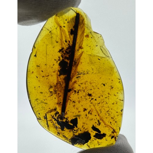 45 - AN EXCEPTIONALLY RARE FOSSILISED DINOSAUR FEATHER IN AMBER, 

5.175gms

Found in the Cretaceous depo...