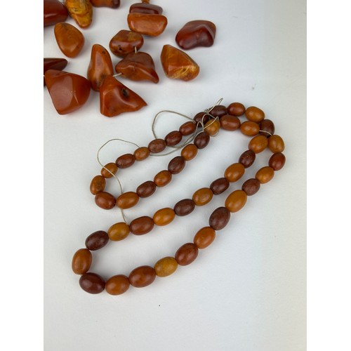 26 - A LARGE BALTIC AMBER BUTTERSCOTCH NECKLACE ALONG WITH A SMALLER EXAMPLE

Some parts loose on large. ... 