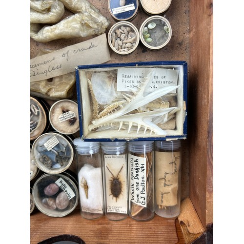 58 - A COLLECTION OF FOSSILS AND MARINE NATURAL HISTORY EX MUSEUM, to include crude winglass and many oth... 