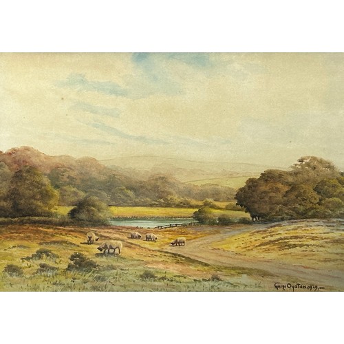 186 - GEORGE OYSTON (1861-1937) WATERCOLOUR OF SHEEP GRAZING IN A FIELD NEAR TORQUAY IN DEVON, 

Signed an... 