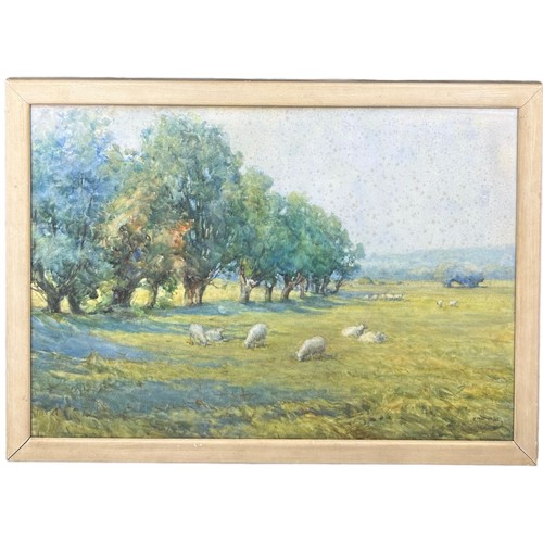 187 - A WATERCOLOUR ON PAPER OF SHEEP IN A FIELD, mounted in a frame and glazed. 

Signed indistinctly. Fo... 