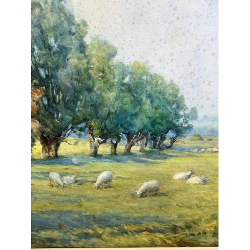 187 - A WATERCOLOUR ON PAPER OF SHEEP IN A FIELD, mounted in a frame and glazed. 

Signed indistinctly. Fo... 