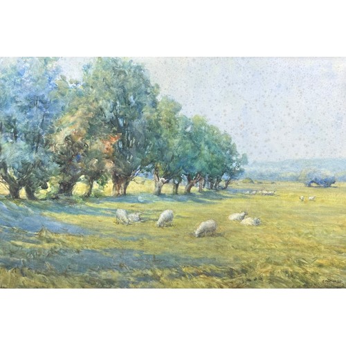 187 - A WATERCOLOUR ON PAPER OF SHEEP IN A FIELD, mounted in a frame and glazed. 

Signed indistinctly. Fo... 