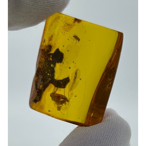 50 - PLANT MATTER AND INSECT IN AMBER, 

From Burma / Myanmar, circa 110 million years old