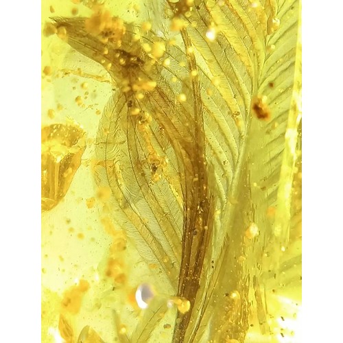 43 - A DINOSAUR FEATHER FOSSIL IN BURMESE AMBER

Found in the Cretaceous deposits circa 99 million years ... 