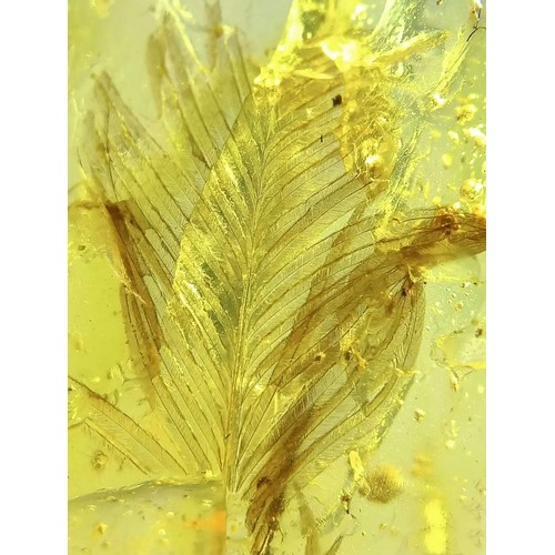 43 - A DINOSAUR FEATHER FOSSIL IN BURMESE AMBER

Found in the Cretaceous deposits circa 99 million years ... 