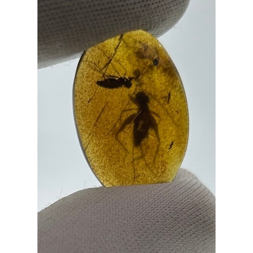 45 - A LARGE MOSQUITO AND CRICKET FOSSIL IN AMBER,

A Large Mosquito and Cricket from the amber mines of ... 