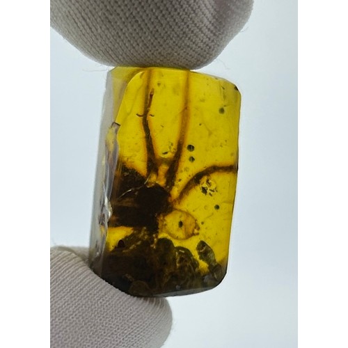 44 - A LARGE FOSSIL SPIDER IN DINOSAUR AGE BURMESE AMBER, 

A Large and rare Spider from the amber mines ... 