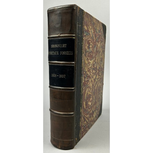 28A - ADOLPHE BRONGNIART (1828-1837): HISTOIRE DES VEGETAUX FOSSILES, 

Two volumes in one book. Complete ... 