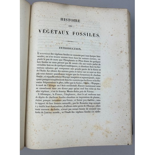 28A - ADOLPHE BRONGNIART (1828-1837): HISTOIRE DES VEGETAUX FOSSILES, 

Two volumes in one book. Complete ... 