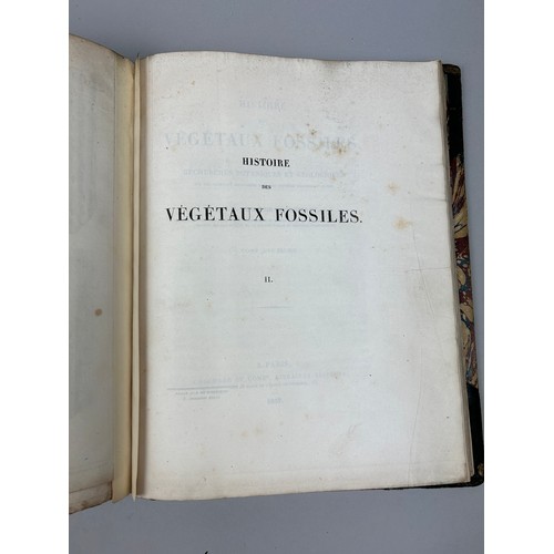 28A - ADOLPHE BRONGNIART (1828-1837): HISTOIRE DES VEGETAUX FOSSILES, 

Two volumes in one book. Complete ... 