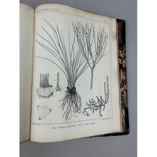 28A - ADOLPHE BRONGNIART (1828-1837): HISTOIRE DES VEGETAUX FOSSILES, 

Two volumes in one book. Complete ... 