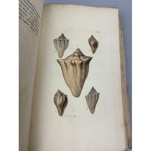 1A - JAMES SOWERBY (1757-1822): THE MINERAL CONCHOLOGY OF GREAT BRITAIN VOLUMES I AND II 1812 AND 1818.

... 