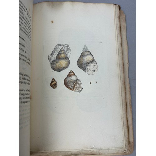 1A - JAMES SOWERBY (1757-1822): THE MINERAL CONCHOLOGY OF GREAT BRITAIN VOLUMES I AND II 1812 AND 1818.

... 