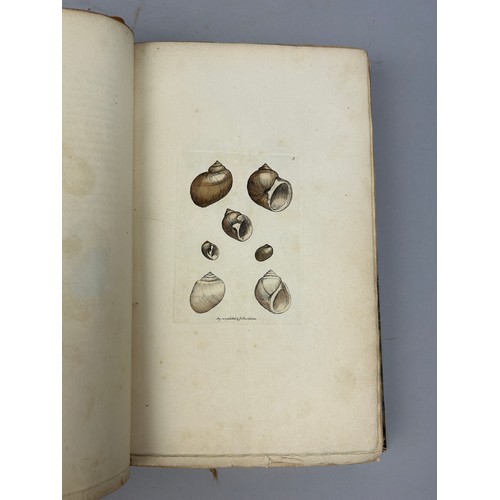 1A - JAMES SOWERBY (1757-1822): THE MINERAL CONCHOLOGY OF GREAT BRITAIN VOLUMES I AND II 1812 AND 1818.

... 