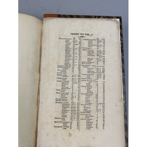 1A - JAMES SOWERBY (1757-1822): THE MINERAL CONCHOLOGY OF GREAT BRITAIN VOLUMES I AND II 1812 AND 1818.

... 