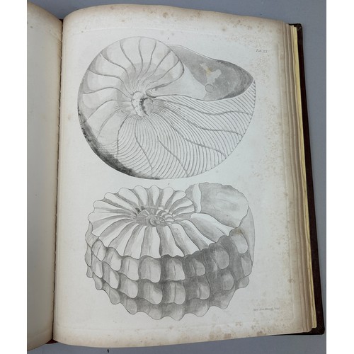 25A - GIDEON MANTELL (1790-1852): THE FOSSILS OF THE SOUTH DOWNS, 1822. 

42 aquatint engraved plates incl... 