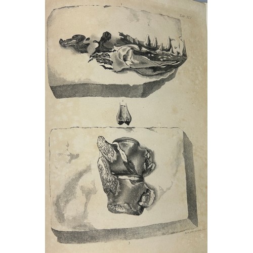 25A - GIDEON MANTELL (1790-1852): THE FOSSILS OF THE SOUTH DOWNS, 1822. 

42 aquatint engraved plates incl... 