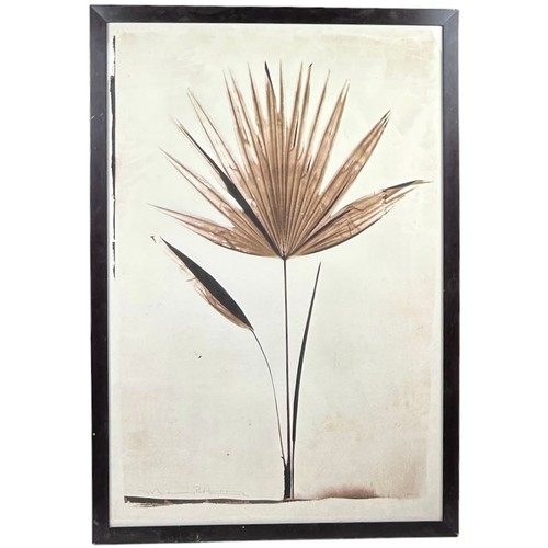 112 - MADELEINE AND ROBERT LONGSTREET BOTANICAL LITHOGRAPH ON PAPER OF A SAW PALMETTO, 

Signed by both ar... 