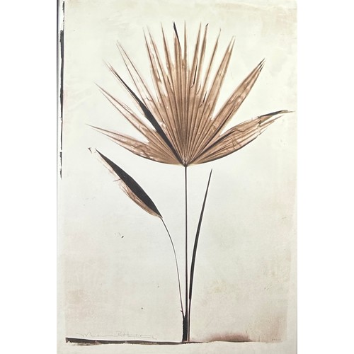 112 - MADELEINE AND ROBERT LONGSTREET BOTANICAL LITHOGRAPH ON PAPER OF A SAW PALMETTO, 

Signed by both ar... 