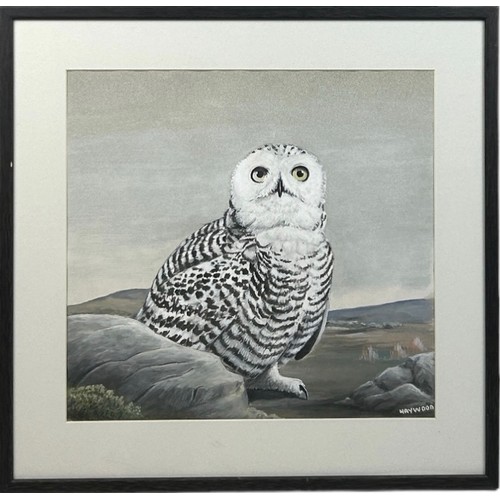 132 - JOHN FRANK HAYWOOD 1936-1991 GOACHE AND WATERCOLOUR PAINTING OF A SNOWY OWL, 

Mounted in a frame an... 