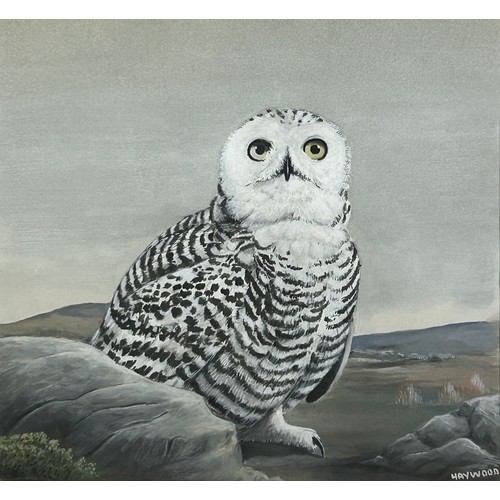 132 - JOHN FRANK HAYWOOD 1936-1991 GOACHE AND WATERCOLOUR PAINTING OF A SNOWY OWL, 

Mounted in a frame an... 