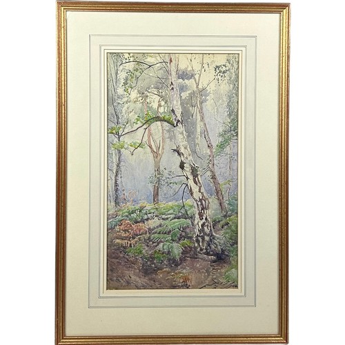 131 - A WATERCOLOUR ON PAPER OF WIMBLEDON COMMON, depicting trees and undergrowth, 

Mounted in a frame an... 